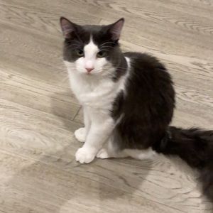 Meet your Posher, Stacey